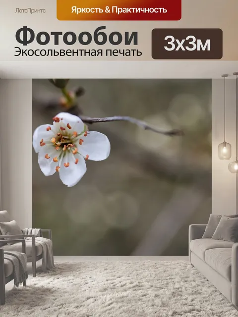 Фотообои Цветы