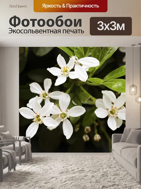 Фотообои Белый