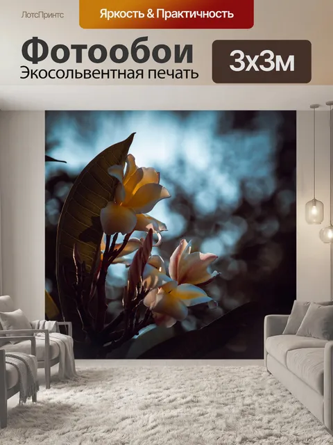 Фотообои Frangipani