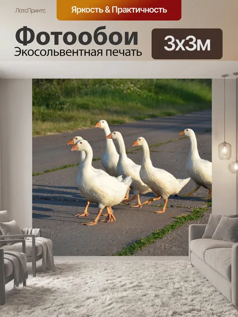 Фотообои Goose march