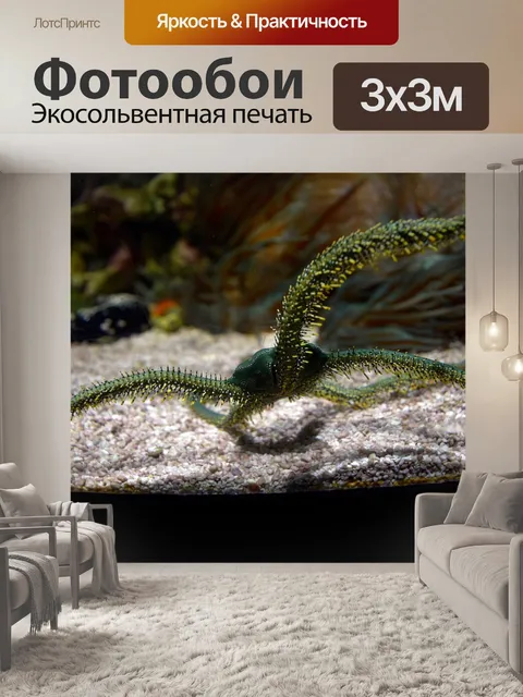 Фотообои Море