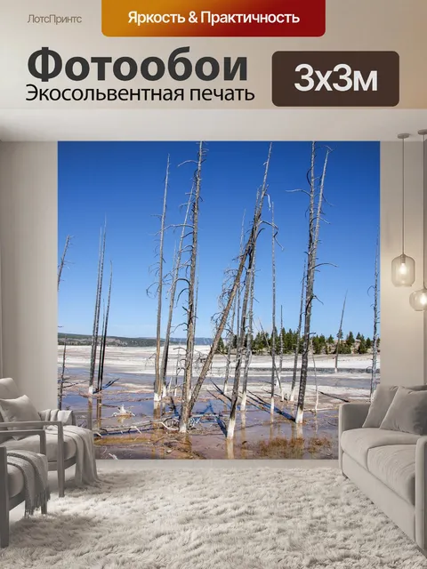 Фотообои Природа