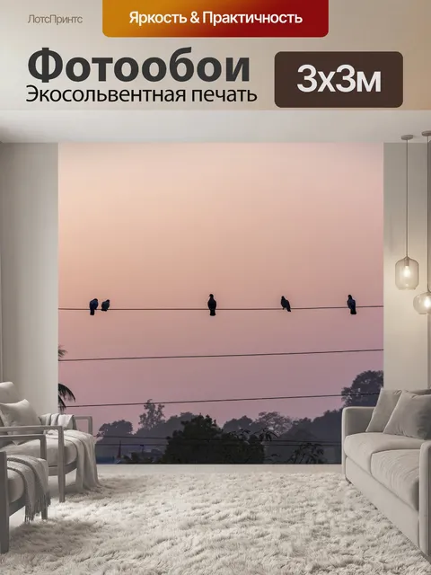 Фотообои Птица