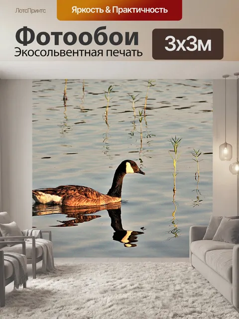 Фотообои Отравление Канады