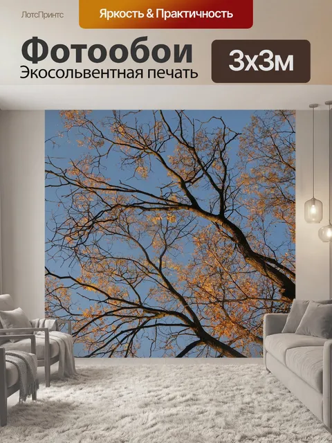 Фотообои Ветви