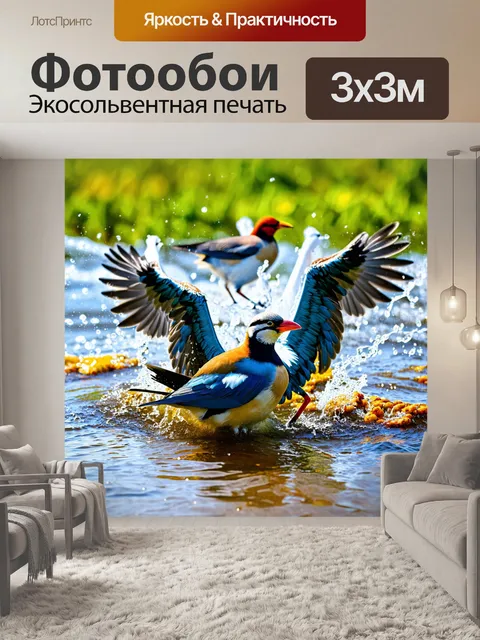 Фотообои птицы на ферме, купающиеся в солнечном ручье, где вода искрится на солнце