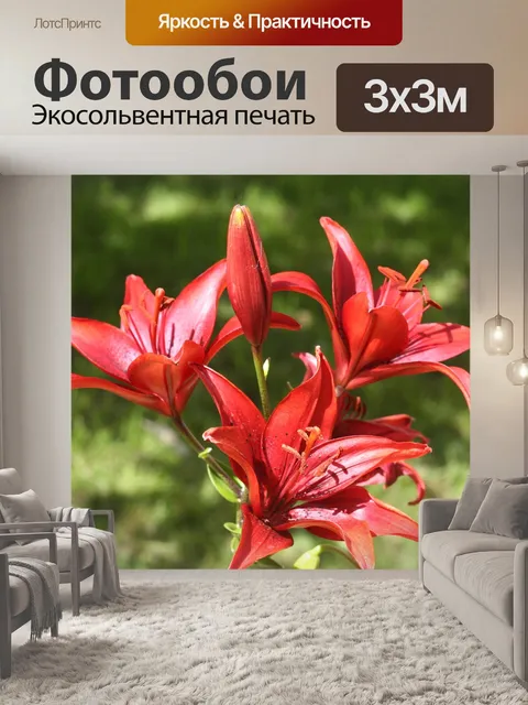 Фотообои Цветы
