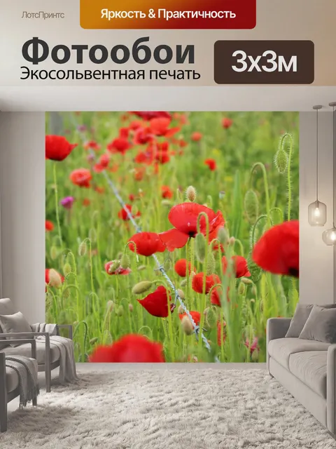Фотообои Красочные Полевые цветы Красные маки