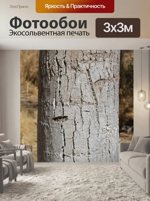 Фотообои Ствол