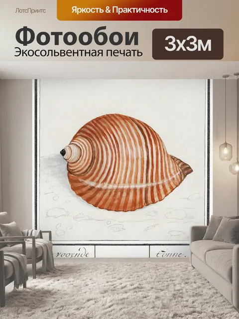 Фотообои Ракушка старинное искусство старый