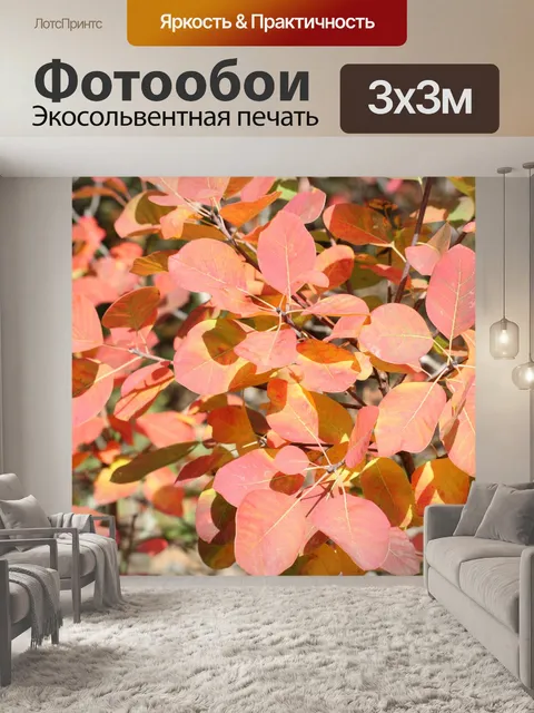 Фотообои Маки