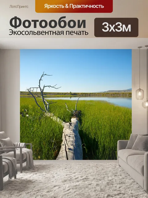 Фотообои Упавшее дерево в Марш