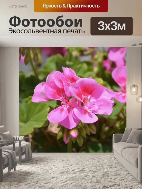 Фотообои Цветы