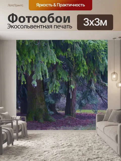 Фотообои Ели