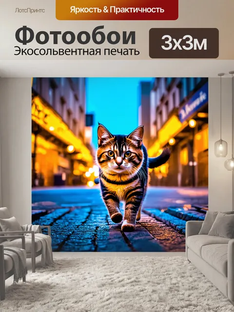 Фотообои кошка, гуляющая по вечернему городу