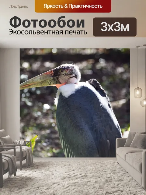 Фотообои белый аист