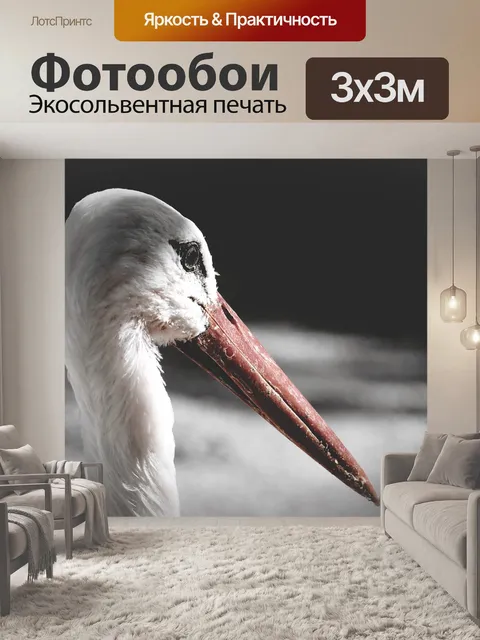 Фотообои Аист