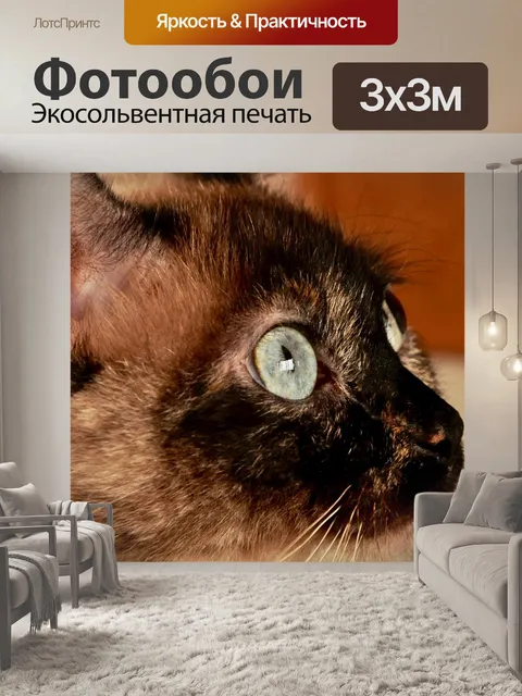 Фотообои Животное