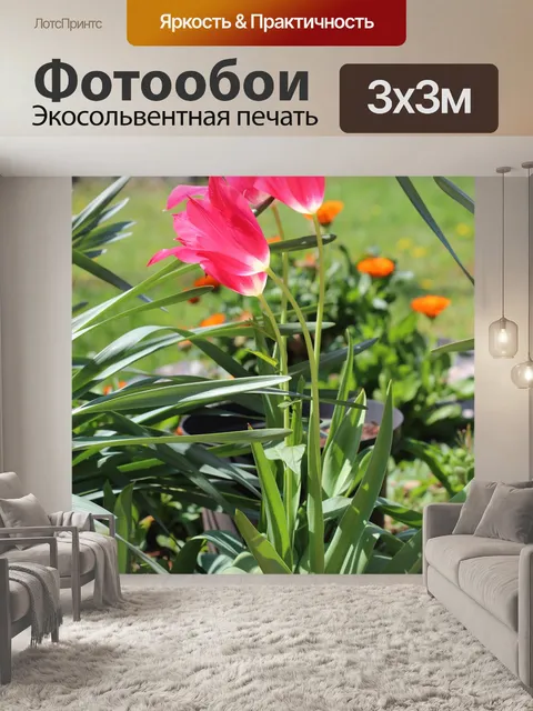 Фотообои Пурпурный