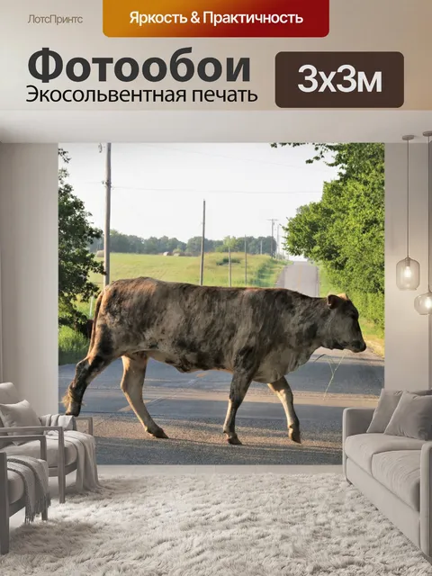 Фотообои Корова пересекает проселочную дорогу