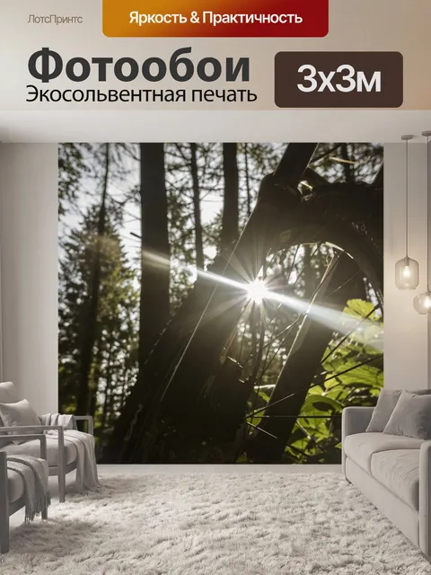 Фотообои Лес