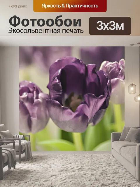 Фотообои Тюльпаны