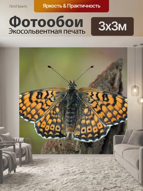 Фотообои Бабочка