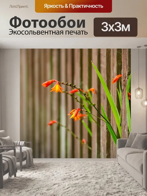 Фотообои Цветок