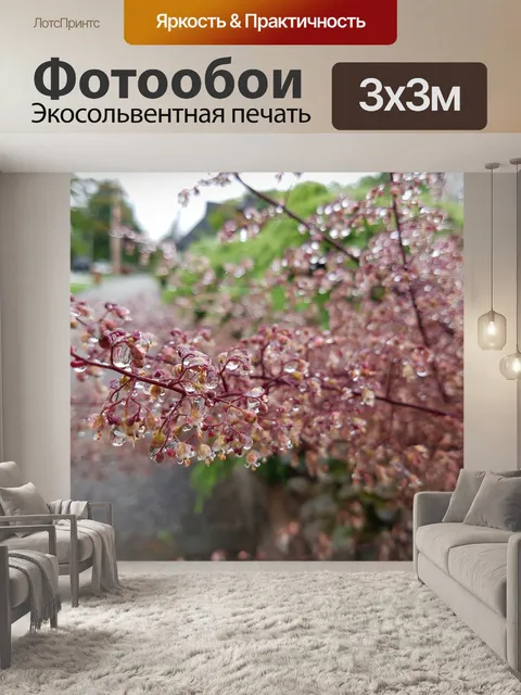 Фотообои Цветок