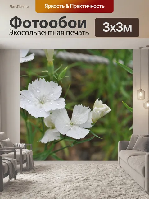 Фотообои Цветок
