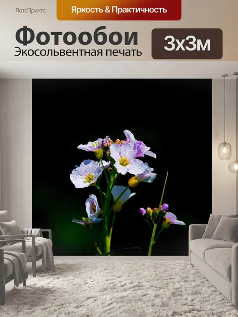 Фотообои Цветы
