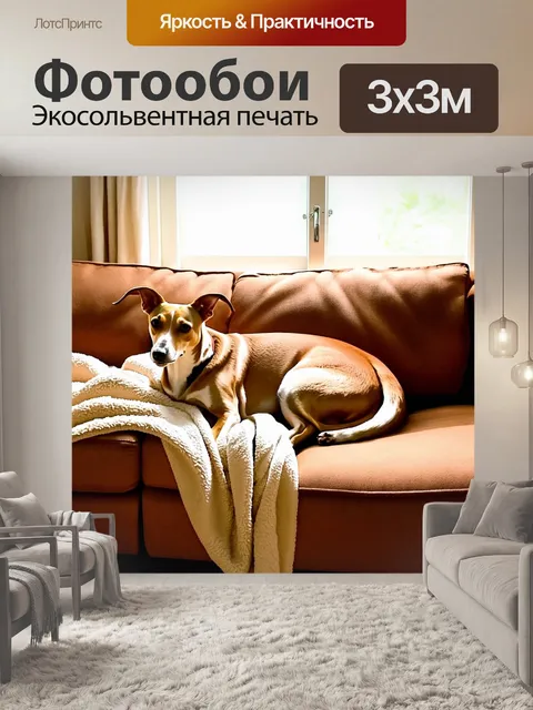 Фотообои уютный домашний интерьер с собачкой породы басенджи, уютно свернувшейся в теплый плед на диване