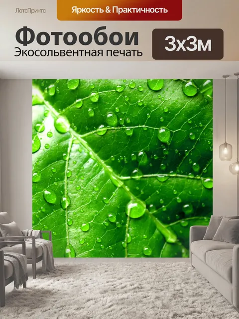 Фотообои Капля воды на листе