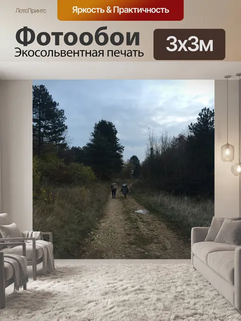 Фотообои Путь