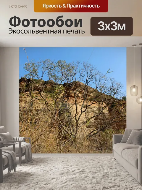 Фотообои Пха Таем Национальный парк Убонратчатхан