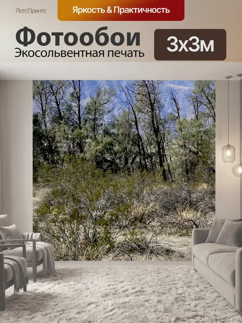 Фотообои Деревья и кисти