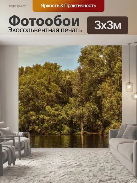 Фотообои Лес