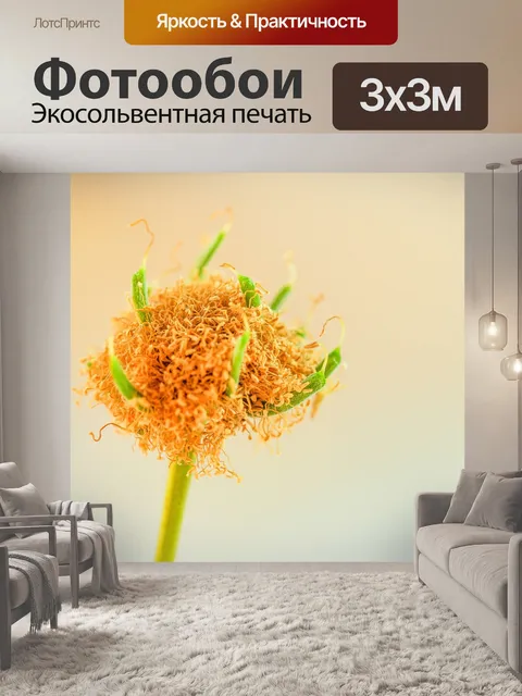 Фотообои Зеленое семя Белый цветок попинака