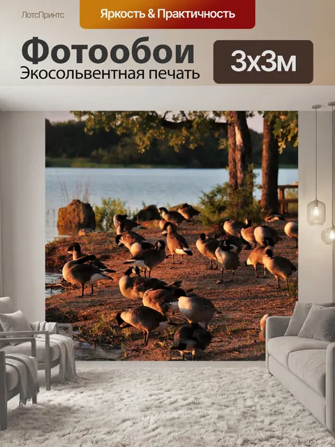 Фотообои Гуси на берегу озера на закате 3