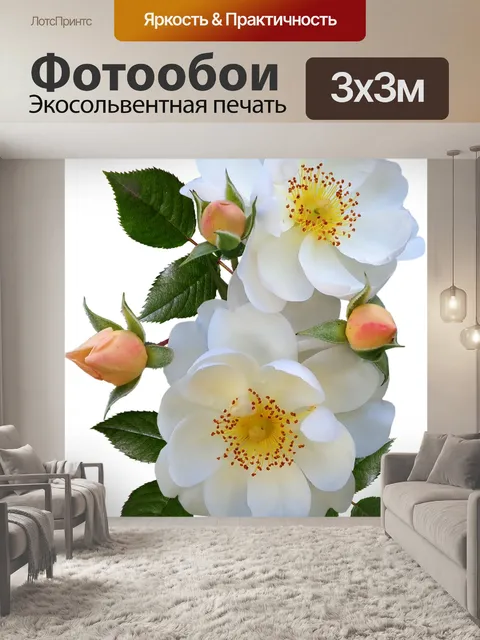 Фотообои Розы