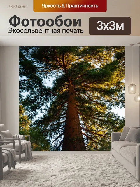 Фотообои англия: дышащий лес с великой сосной на фоне природных красот