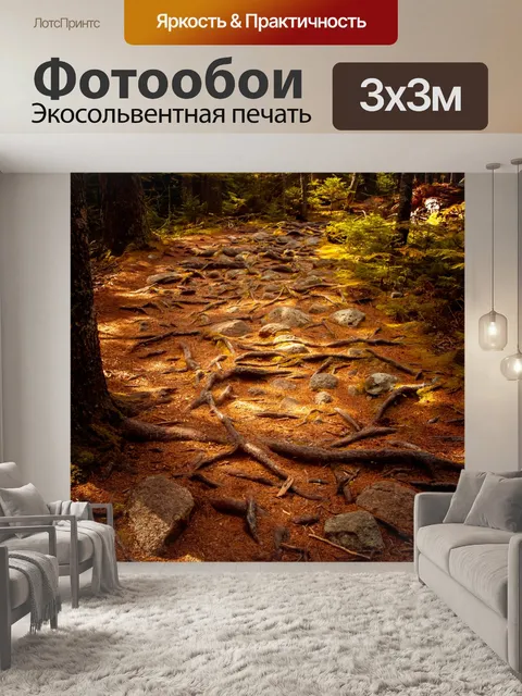 Фотообои Тропа в лесу