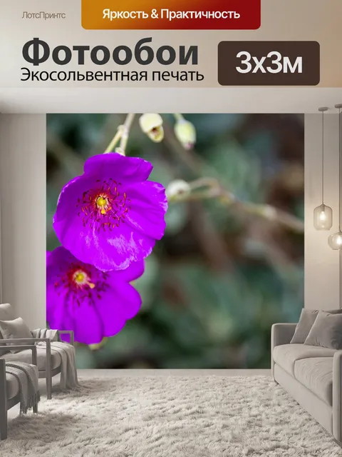 Фотообои фиолетовые маки