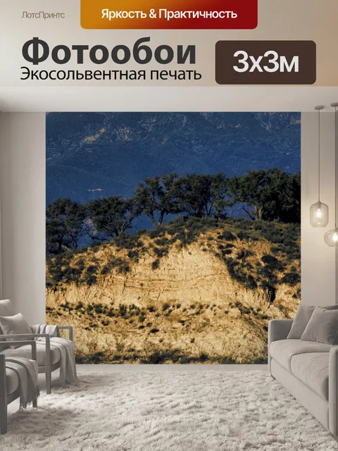 Фотообои Дубовые деревья