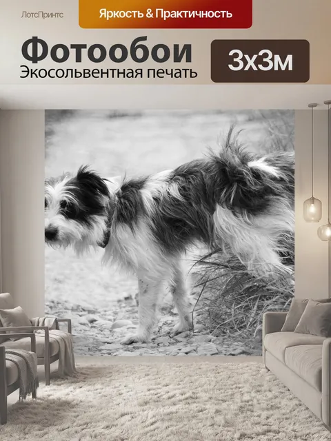 Фотообои Черное и белое