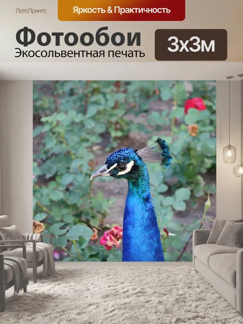 Фотообои Птица