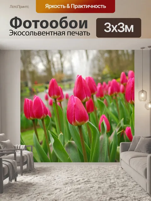 Фотообои Тюльпаны