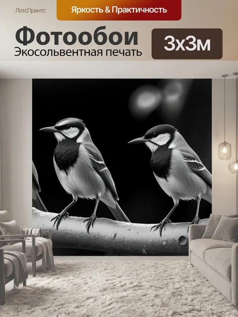 Фотообои с птичками чернобелый