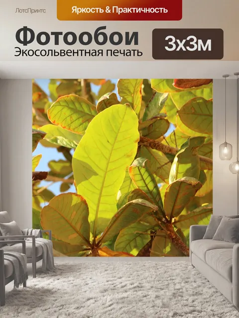 Фотообои Листья