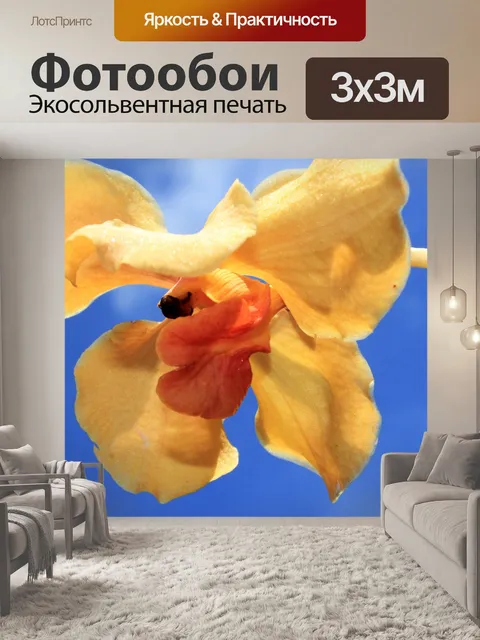Фотообои Желтые орхидеи